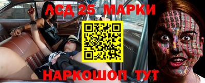 СК Новозыбков