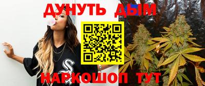 скорость Новодвинск