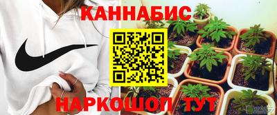 СК Новозыбков