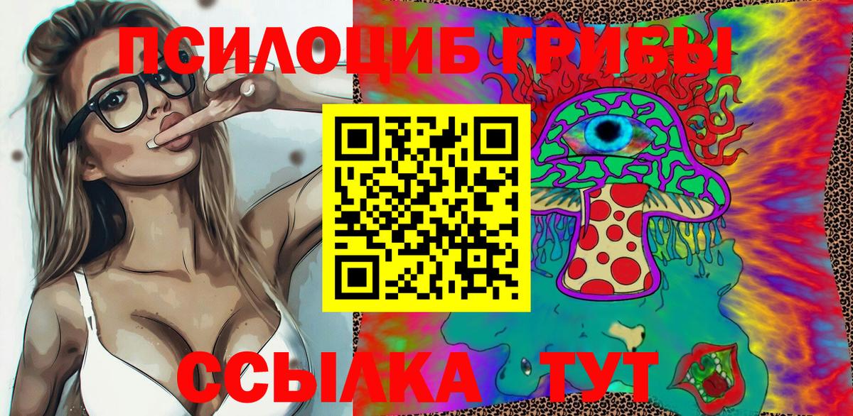 Свободный  сколько стоит  Вход с VPN  Псилоцибиновые грибы Magic Shrooms 